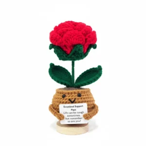 Adorable Positive Crochet Rose - The Little Hope Booster